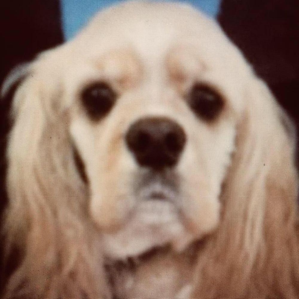 Meet your Posher, Wendy